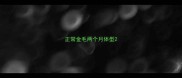 正常金毛两个月体型