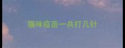 猫咪疫苗一共打几针