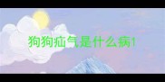 狗狗疝气是什么病