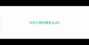 30天小狗拉稀怎么办