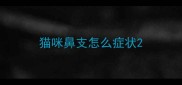 猫咪鼻支怎么症状