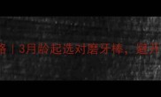 幼犬磨牙棒使用全攻略3月龄起选对磨牙棒避开这5大误区新手必看