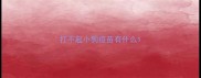 打不起小狗疫苗有什么