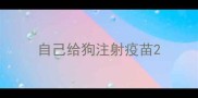 自己给狗注射疫苗