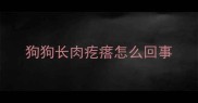 狗狗长肉疙瘩怎么回事