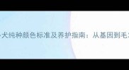 拉布拉多犬纯种颜色标准及养护指南从基因到毛发的科学
