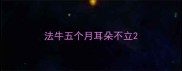 法牛五个月耳朵不立