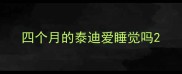 四个月的泰迪爱睡觉吗