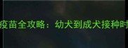 狗狗必打狗瘟疫苗全攻略幼犬到成犬接种时间表及注意事项