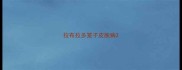 拉布拉多笼子皮肤病