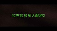 拉布拉多多大配种