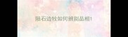 陨石边牧如何辨别品相