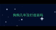狗狗几年没打疫苗吗