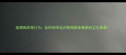 宠物狗异常行为如何科学应对狗狗舔食粪便的卫生隐患