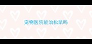 宠物医院能治松鼠吗