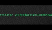 小狗挑食只吃肉不吃饭幼犬挑食解决方案与科学喂养指南附食谱