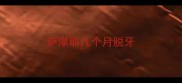 萨摩耶几个月脱牙
