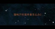 猫咪不吃营养膏怎么办