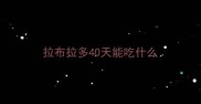 拉布拉多40天能吃什么
