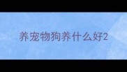 养宠物狗养什么好