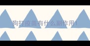 狗打疫苗有什么副作用