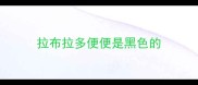 拉布拉多便便是黑色的