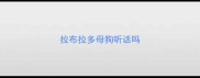 拉布拉多母狗听话吗