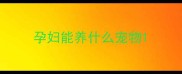 孕妇能养什么宠物