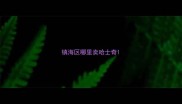 镇海区哪里卖哈士奇