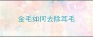金毛如何去除耳毛