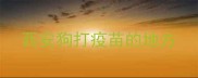 西安狗打疫苗的地方