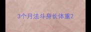 3个月法斗身长体重