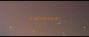 哈士奇粽色有白毛
