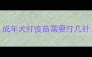 成年犬打疫苗需要打几针