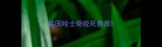 韩国哈士奇咬死贵宾