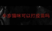 半岁猫咪可以打疫苗吗