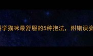 新手必看科学猫咪最舒服的5种抱法附错误姿势避坑指南