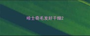 哈士奇毛发好干燥