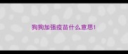 狗狗加强疫苗什么意思