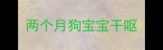两个月狗宝宝干呕