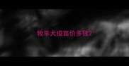牧羊犬疫苗价多钱