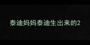 泰迪妈妈泰迪生出来的