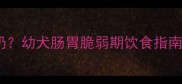 边牧幼犬能不能吃酸奶幼犬肠胃脆弱期饮食指南附安全食用指南
