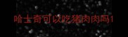 哈士奇可以吃猪肉肉吗