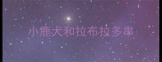 小鹿犬和拉布拉多串