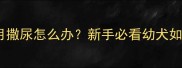 公雪纳瑞几个月撒尿怎么办新手必看幼犬如厕训练全攻略