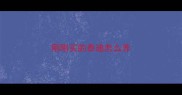 刚刚买的泰迪怎么养