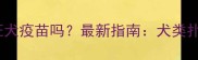 狗扑人后必须打狂犬疫苗吗最新指南犬类扑咬防护与疫苗全