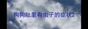 狗狗肚里有虫子的症状