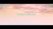 拉布拉多长大能有多高